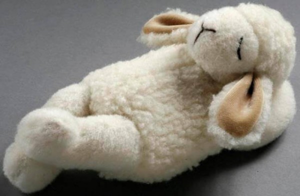 Schaf schlafend mit Schafwolle gefüllt